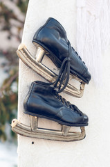 Old black shabby leather skates hanging on the wall