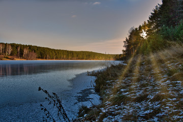 Fototapeta premium landscape sunset in the woods. winter pine forest on the banks of the frozen river.