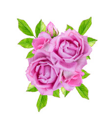 Flower composition. Bouquet of beautiful realistic pink roses isolated on a white background