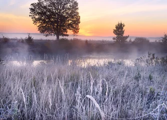  De eerste vorst en vorst op het gras bij de rivier. Mooie eik op de rivieroever in de mist bij dageraad. Prachtig laat herfstlandschap in het wild. © Ann Stryzhekin