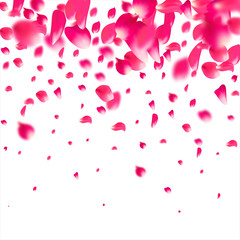 Fototapeta na wymiar Pink falling petals rose. Nice flower pastel texture background.