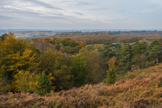Autum walk on Black, Southdown National Park