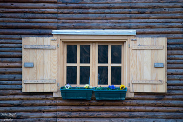 Obraz premium windows of a cottage house