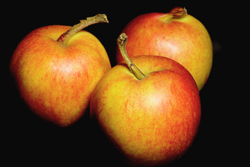 Three yellow-red apple close-up on a dark background