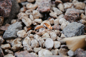  wedding rings for the newlyweds on their wedding day