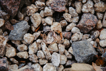  wedding rings for the newlyweds on their wedding day