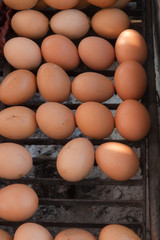Eggs on the grill burner