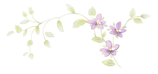 Obraz na płótnie Canvas summer spring decoration print leaves forget-me-nots violets 