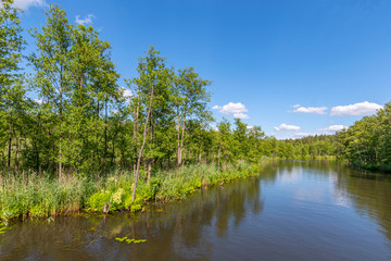 Rospuda river near Augustow, Poland.