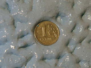 Photography of a ruble coin drowning in a blue slime. Concepts of instability and financial failure