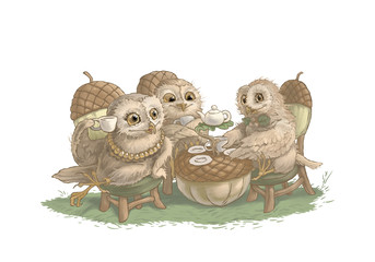 owl, animal, bird, isolated, toy, cute