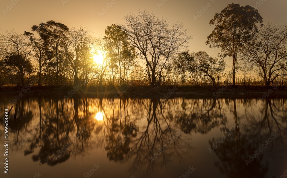 Wall mural silhouette of leafless trees near the water with the sun shining through the branches