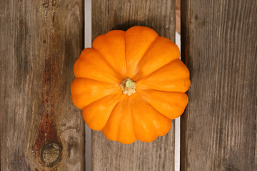  orange tiny pumpkin