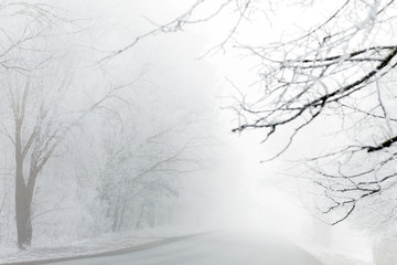 Misty and freosty winter morning.