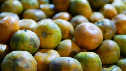 this is fruits photo