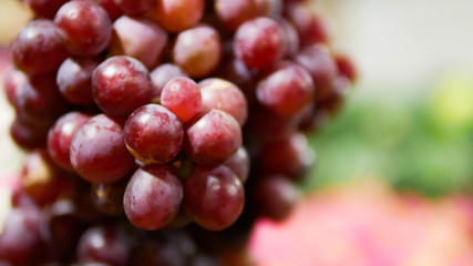 this is fruits photo