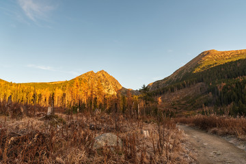 lower part of Mlynicka dolina valley in autumn Vysoke Tatry mountains in Slovakia © honza28683