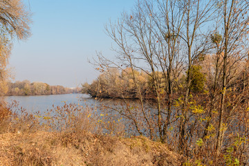 Autumn landscape. Golden trees against the blue sky. Kiev, Ukraine.