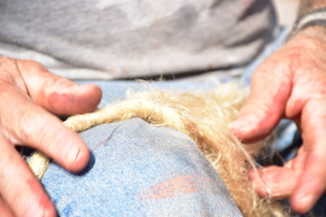 intreccio della canapa prima di essere inserita tra 8il fasciame di una barca in legno