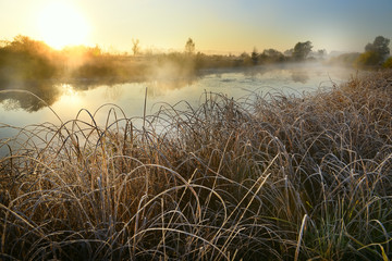 Fototapeta na wymiar Beautiful foggy frosty sunrise on the river. The first frost on the grass and flowers in the fog on the shore with a view of the soaring mist and water and dawn.