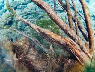 seidyavr seidozero north 