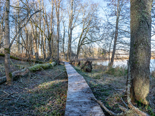 picture with wooden footbridge on the shore of the lake