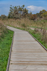 Fototapeta premium Voyage en petite Camargue