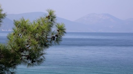 Dilek National Park (Milli Park), located on the coast of the Aegean Sea in Turkey, near the city of Kusadasi, opposite the Greek island of Samos