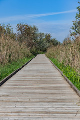 Fototapeta premium Voyage en petite Camargue
