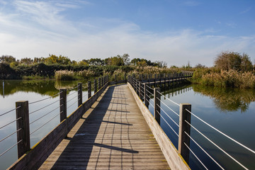 Obraz premium Voyage en petite Camargue