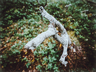 seidyavr seidozero north 