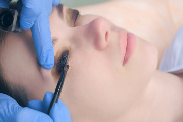 Naklejka premium Beautician applying paint on lashes using brush, lift eyelashes procedurein beauty salon, woman face closeup. Cosmetologist making lash lifting lamination in cosmetology clinic. Painting lashes.