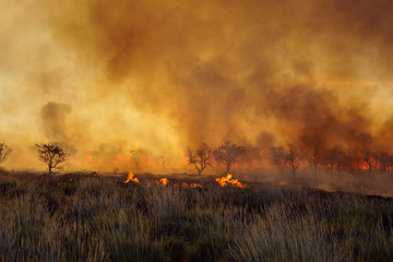 Bush fire in the Western Australian outback (Pilbara) with heavy, dark smoke. Bushfires are an...