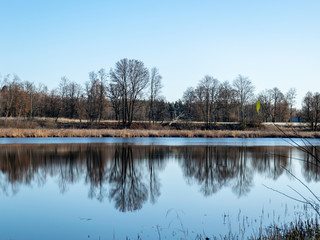 Fototapeta premium tree silhouettes on the shore of the lake, calm water and reflections