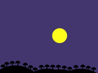 mountain views and night sky views