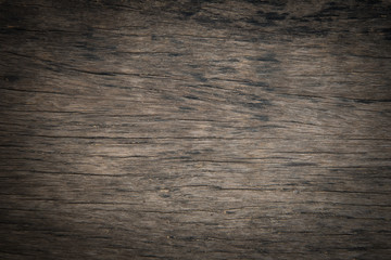 Detail of the Tree bark texture background