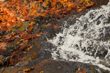 Obraz premium Waterfall from stones in the park. Against the background of autumn foliage and trees of orange and yellow.