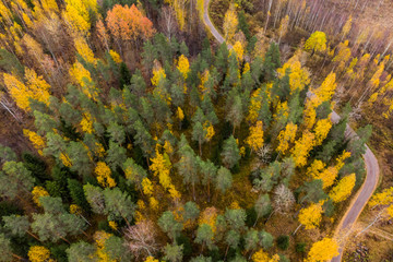 Fototapeta na wymiar Aerial view of road and colorful forests on a autumn day in Finland. Drone photography