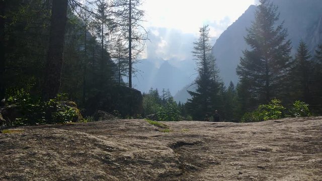 Greyhound without a leash stands on a large stone and observes the panorama and two people that moving away from him, then back towards the camera with a quick and agile movement