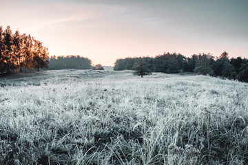Beautiful idyllic and calm morning nature with mist haze and sunrise tones on a cold winter morning