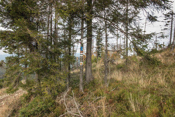 Mountain road which is also a tourist trail in the Beskid Zywiecki mountains near Hala Boracz