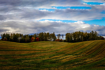 Fototapeta na wymiar Latvia. Colorful Latvian nature in autumn