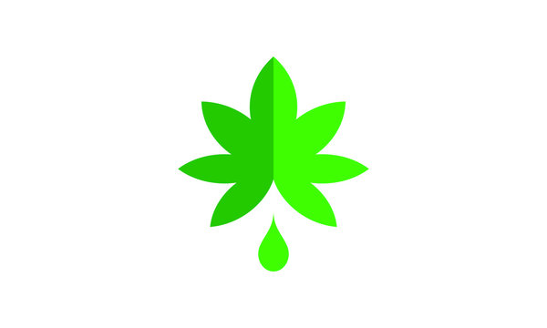 cannabis or marijuana leaf logo icon for medical or health and pharmacy company, Marijuana leaf logo design template, Cannabis Leaf Logo Design 