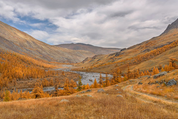 Obraz premium mountains road river autumn golden larch