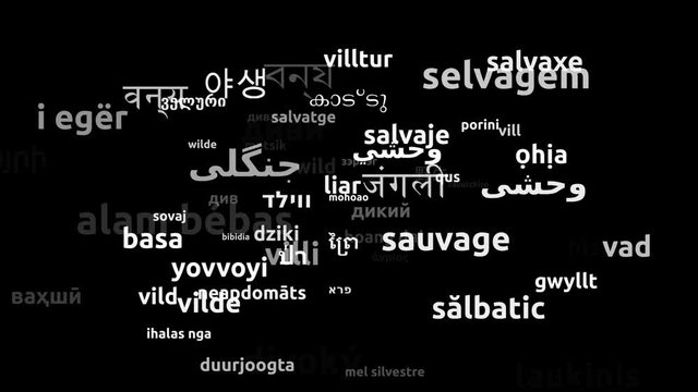 Wild Translated in 73 Worldwide Languages Endless Looping 3d Zooming Wordcloud Mask