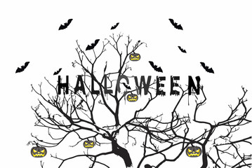 background patterns black trees pumpkin balls and bats