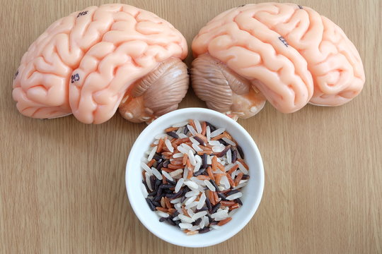 variety of rice and human brain anatomy