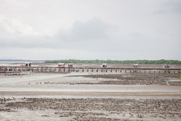 The oyster farm in the sea, Reduced sea range. Raised by bamboo poles and concrete pillars at Thailand.