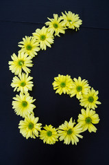 Number six made up of yellow flowers