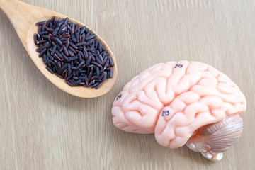 black rice and human brain anatomy